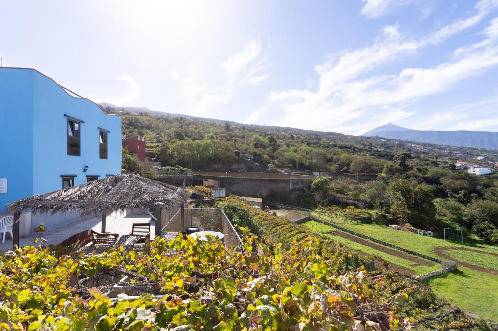 Ek Teide Finca El Milagro La Orotava Exteriér fotografie